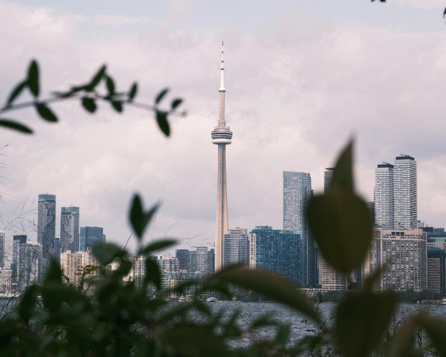The Toronto skyline and CN Tower